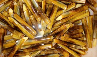 酱爆竹节蛏做法窍门（麻辣竹节蛏做法）
