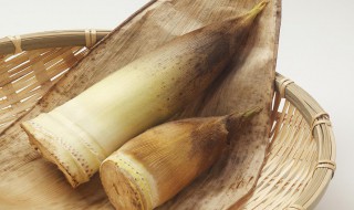 冬笋怎么剥皮（冬笋怎么剥皮视频）