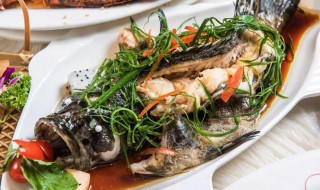 石斑鱼的做法?（石斑鱼的做法大全家常做法）