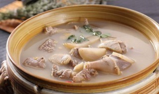 沙参老鸭汤（沙参老鸭汤的做法大全）