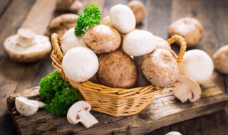 减肥可以吃蘑菇吗（减肥可以吃蘑菇吗?热量高吗?）