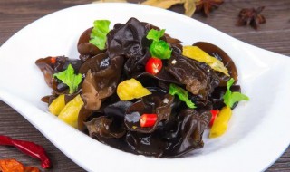 凉拌香辣木耳 凉拌香辣木耳图片