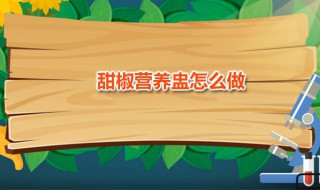 甜椒营养盅怎么做 甜椒营养盅怎么做好吃