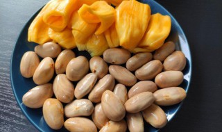 干炒木菠萝果核的做法? 干炒木菠萝果核的做法和功效