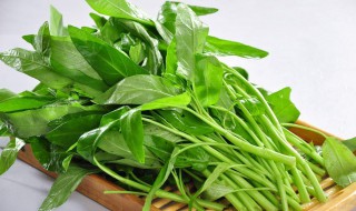 空心菜是发物吗（空心菜三种人不宜吃）