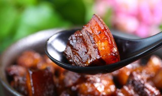新手也可以做的简单红烧肉 新手也可以做的简单红烧肉有哪些