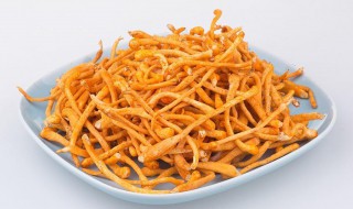 虫草花最佳的食用与做法 虫草花最佳的食用与做法大全