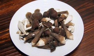 么锦炒黑鸡枞菌 黑鸡枞菌炒鸡