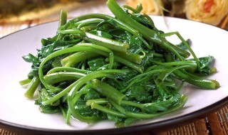 空心菜和鸡蛋能一起吃吗 空心菜和鸡蛋能一起吃吗