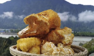 干猴头菇的家常做法（干猴头菇的做法和食法）