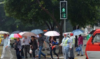 行人过马路的正确方法（行人过马路的正确方法视频）