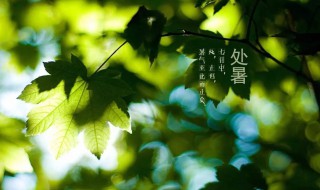 三伏天后是什么节气 三伏天之后是什么节气
