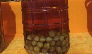 云南野生橄榄酒制作方法 云南橄榄酒怎么泡