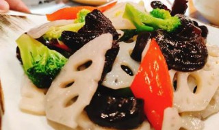 什蔬荟正宗做法 鲜芦荟做菜做法大全