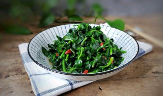 田七的做法?（田七的作用）