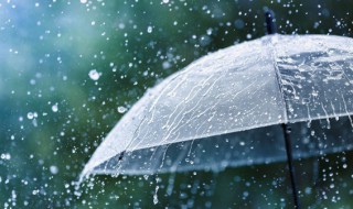 梅雨季注意事项(梅雨季注意事项图片)