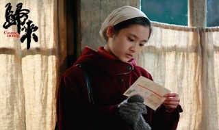 电影归来剧情介绍（电影归来剧情介绍大结局）