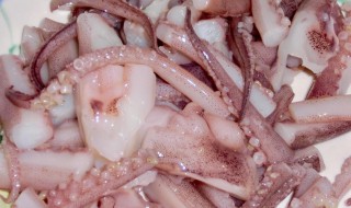 鱿鱼的功效与作用（鱿鱼的功效与作用及食用方法）