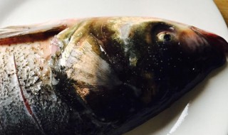 湖南红烧青鱼头怎么做（湖南红烧青鱼头怎么做才好吃）