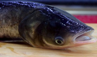花鲢怎么做没有腥味还好吃（花鲢怎么做没有腥味还好吃视频）
