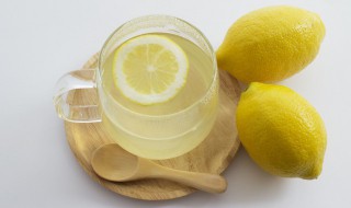 薏米柠檬水怎么做（薏米柠檬水怎么做才好喝）