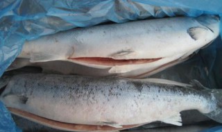 冰冻的鱼肉怎么做才好吃（冰冻的鱼肉怎么做才好吃窍门）