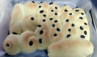 牛奶椰香面包怎么做 椰蓉奶香面包的做法