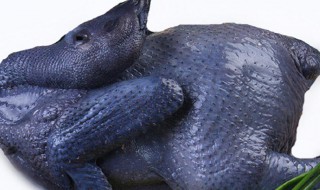 乌鸡的功效与作用(乌鸡白凤丸的功效与作用)