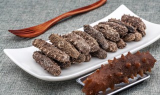 海参补钙效果最好方法（海参补钙效果最好方法视频）