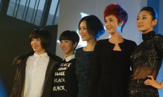 女人帮的演员（女人帮演员表介绍张鲁一演出）