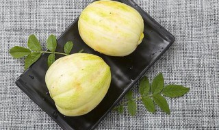 东北香瓜怎么挑选（东北香瓜怎么挑选甜的）