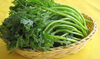 怎么挑选茼蒿（茼蒿怎么才好吃）