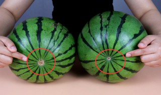 怎么挑选宁夏西瓜（如何选宁夏瓜）