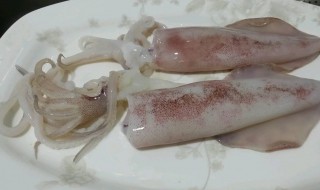 超市鱿鱼怎么挑选 买鱿鱼怎么挑选