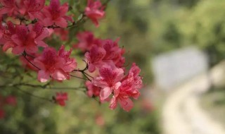 2月再见3月你好问候语 2月再见3月你好祝福语