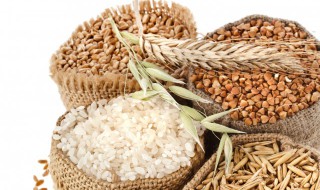 五谷代餐粉的做法和配方 五谷代餐粉的做法和配方视频