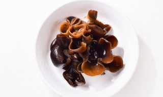 怎么挑选好木耳（怎么挑选木耳?）