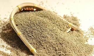 怎么挑选黑小米 黑小米什么样