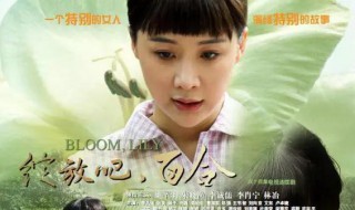 绽放吧百合电视剧剧情介绍 绽放吧百合电视剧全集免费