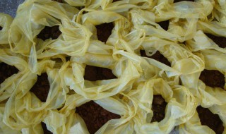 回族麻叶子（新疆麻叶子）