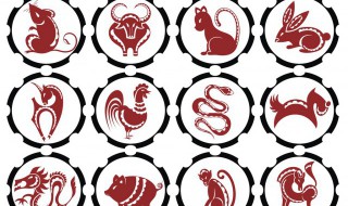 十二生肖排名表（十二生肖排名表图片 顺序）