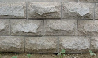 怎么挑选蘑菇石 怎么挑选蘑菇石子