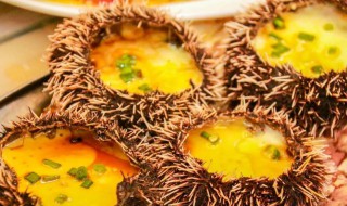 新鲜海胆的做法（新鲜海胆的做法大全）