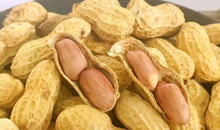 带壳花生变脆的方法 带壳花生回潮了怎么变脆