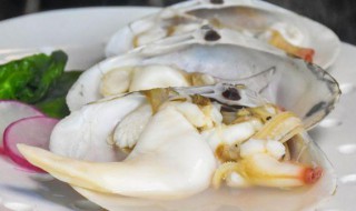 白蚌汤怎么做（广东蚌汤的做法大全）
