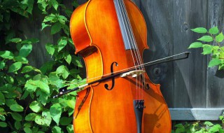 大提琴演奏技巧(大提琴演奏技巧论文)