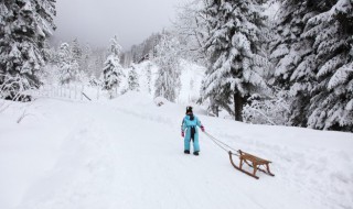 单板滑雪技巧新手 初学者单板滑雪板技巧