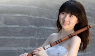 笛子独奏技巧(笛子独奏技巧曲)