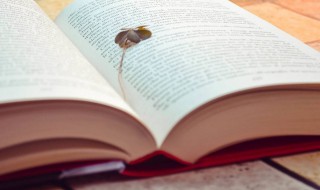 安全在我心中手抄报资料 安全在我心中手抄报内容资料