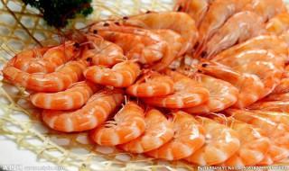 基围虾的功效与作用及禁忌 基围虾的功效与副作用禁忌